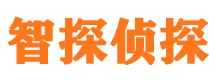 洪江侦探公司